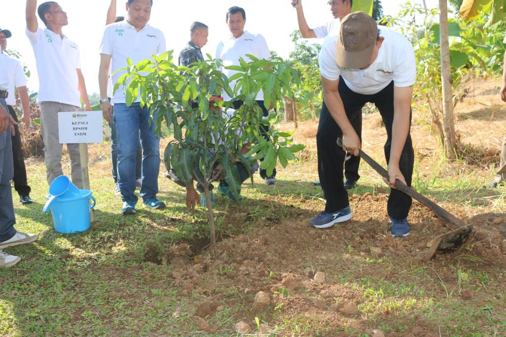 Penanaman Pohon di Kampus Lapangan PPSDM Aparatur Cisolok (9/5/2018)